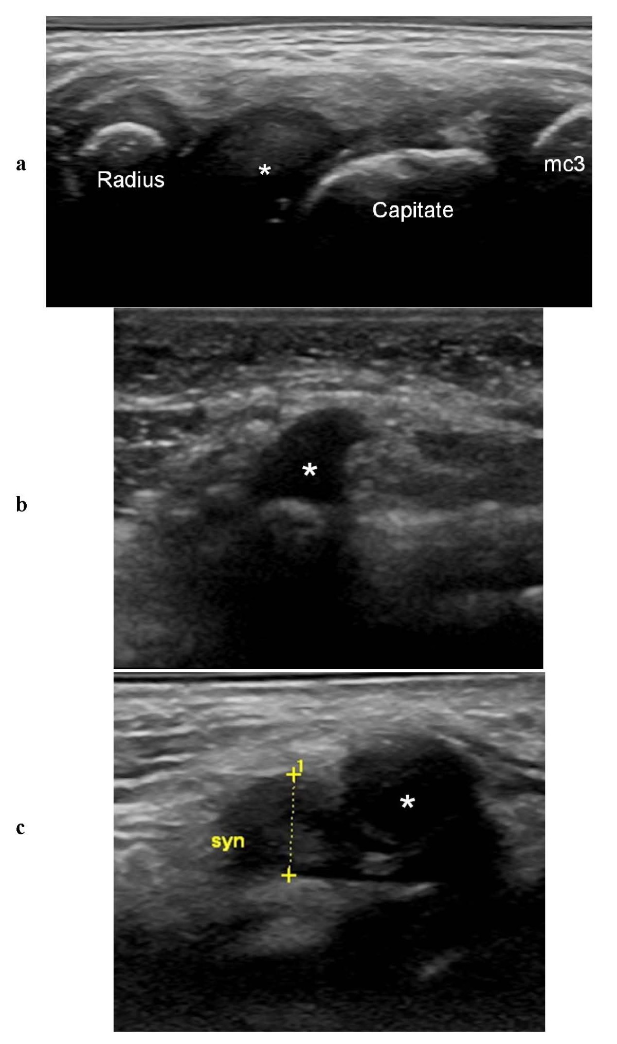 Figure 5