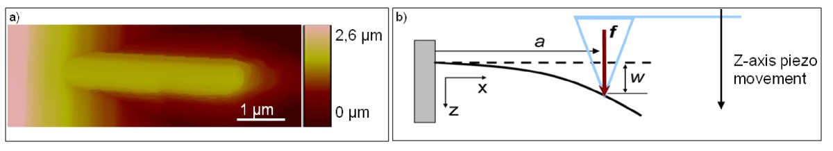 Figure 8