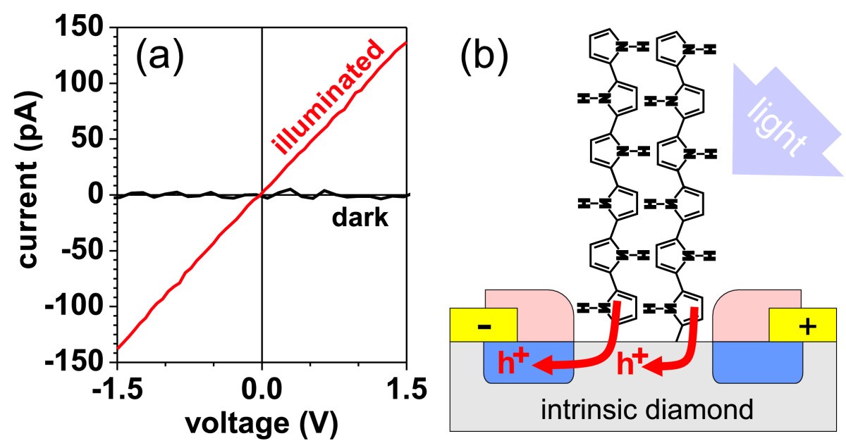 Figure 9