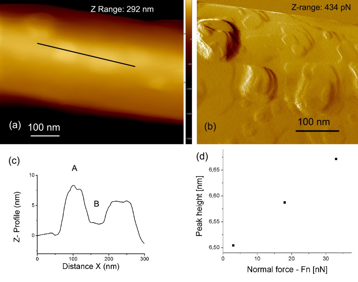 Figure 5