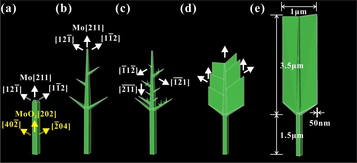 Figure 10