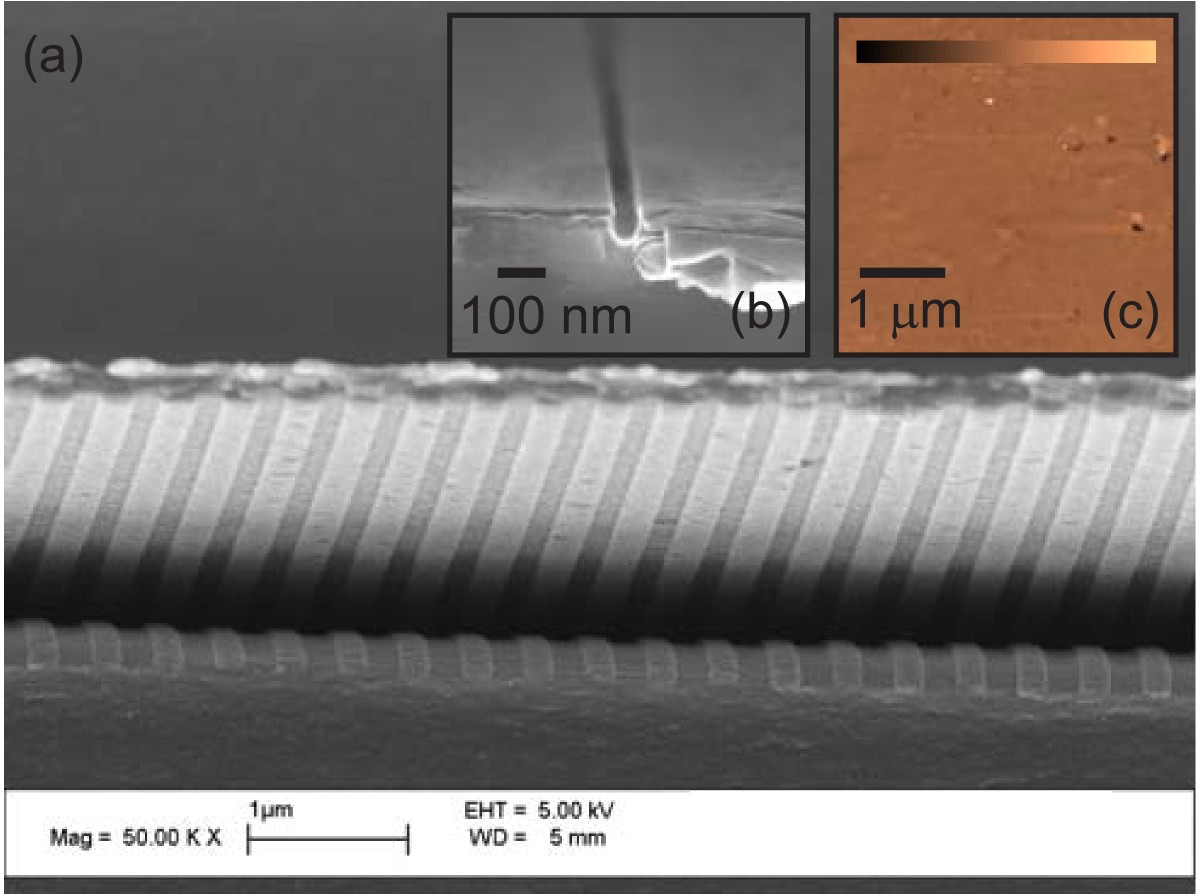 Figure 10