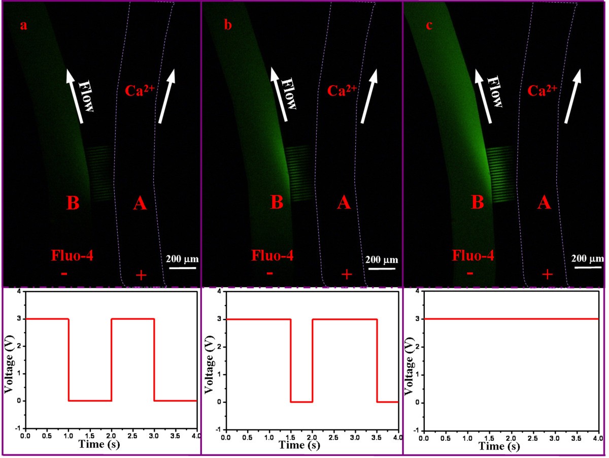 Figure 7