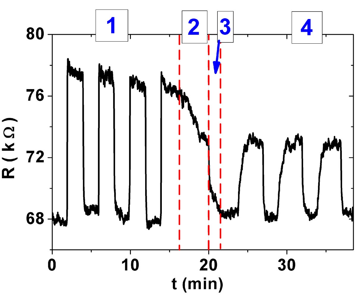 Figure 9