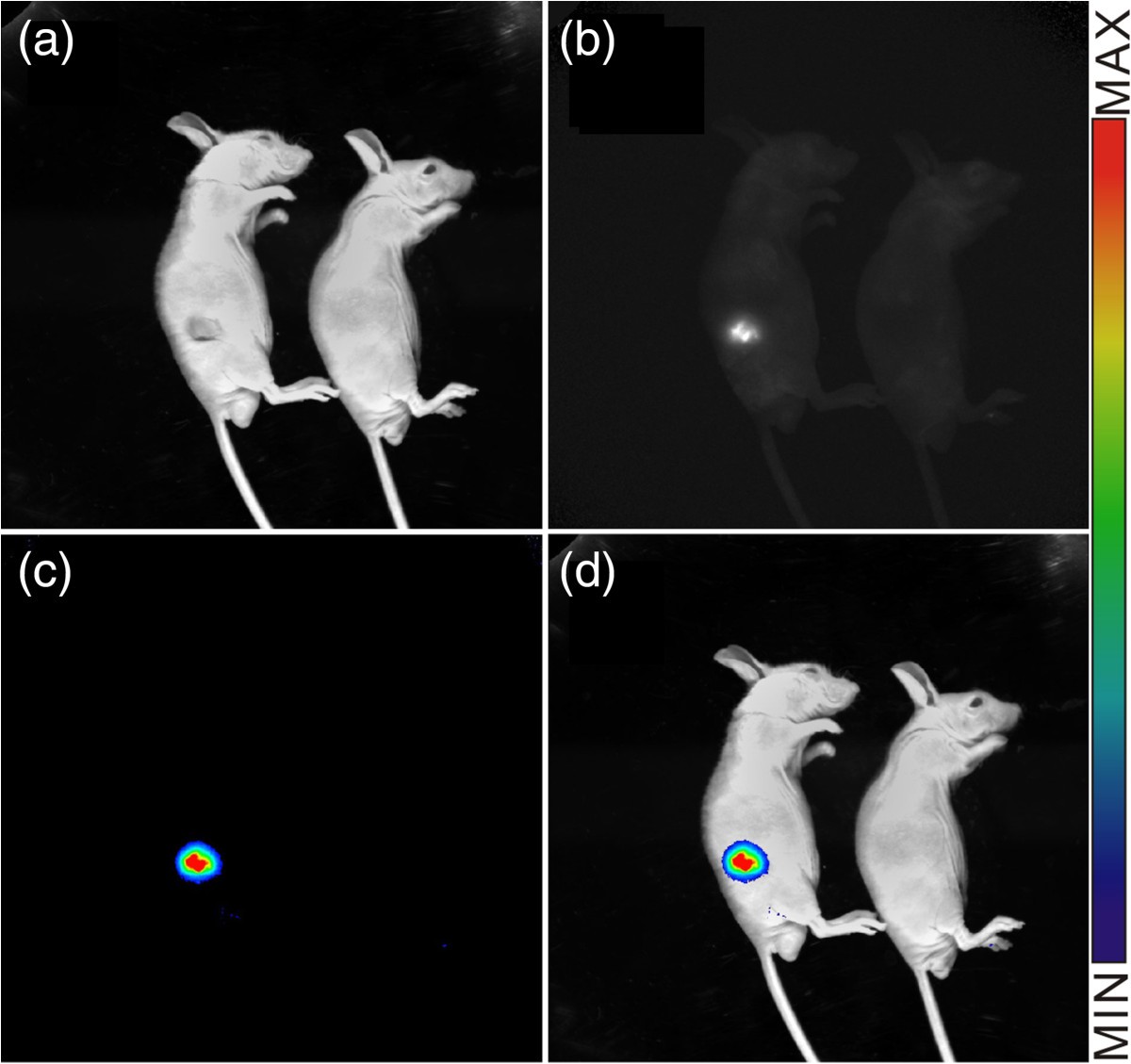 Figure 10