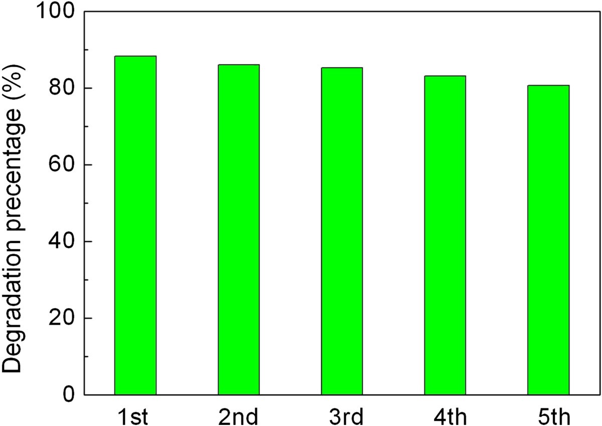 Figure 10