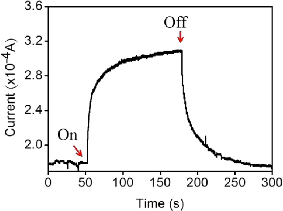 Figure 5