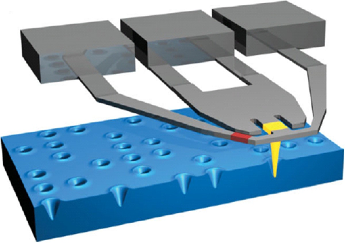 Figure 24