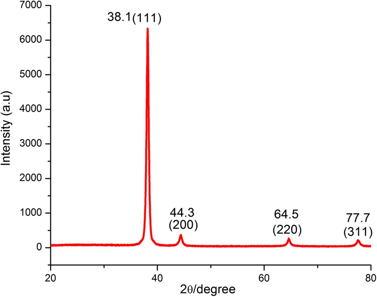 Figure 2