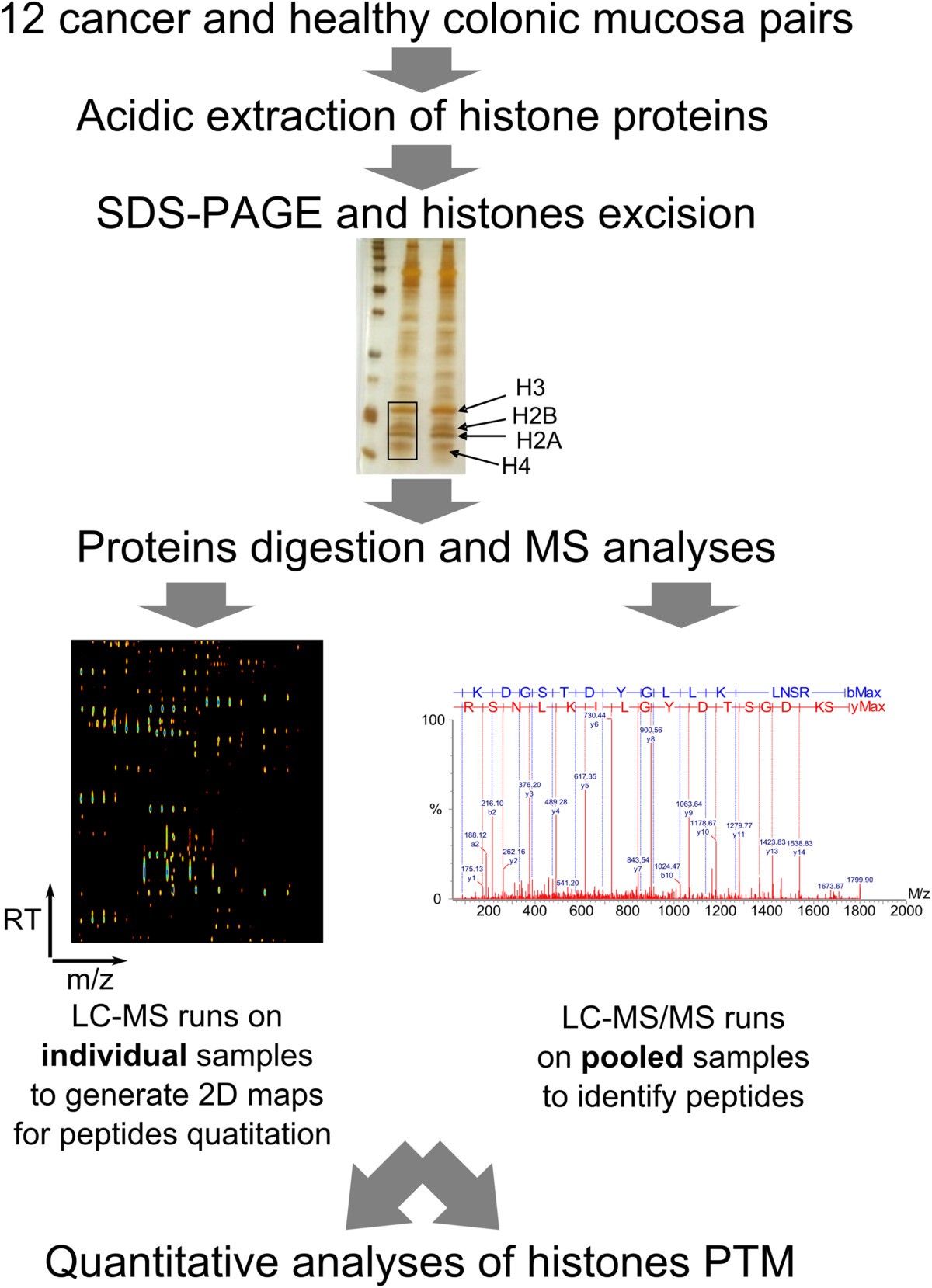 Histone H3 lysine 27 acetylation is altered in colon ... clinical workflow diagram 