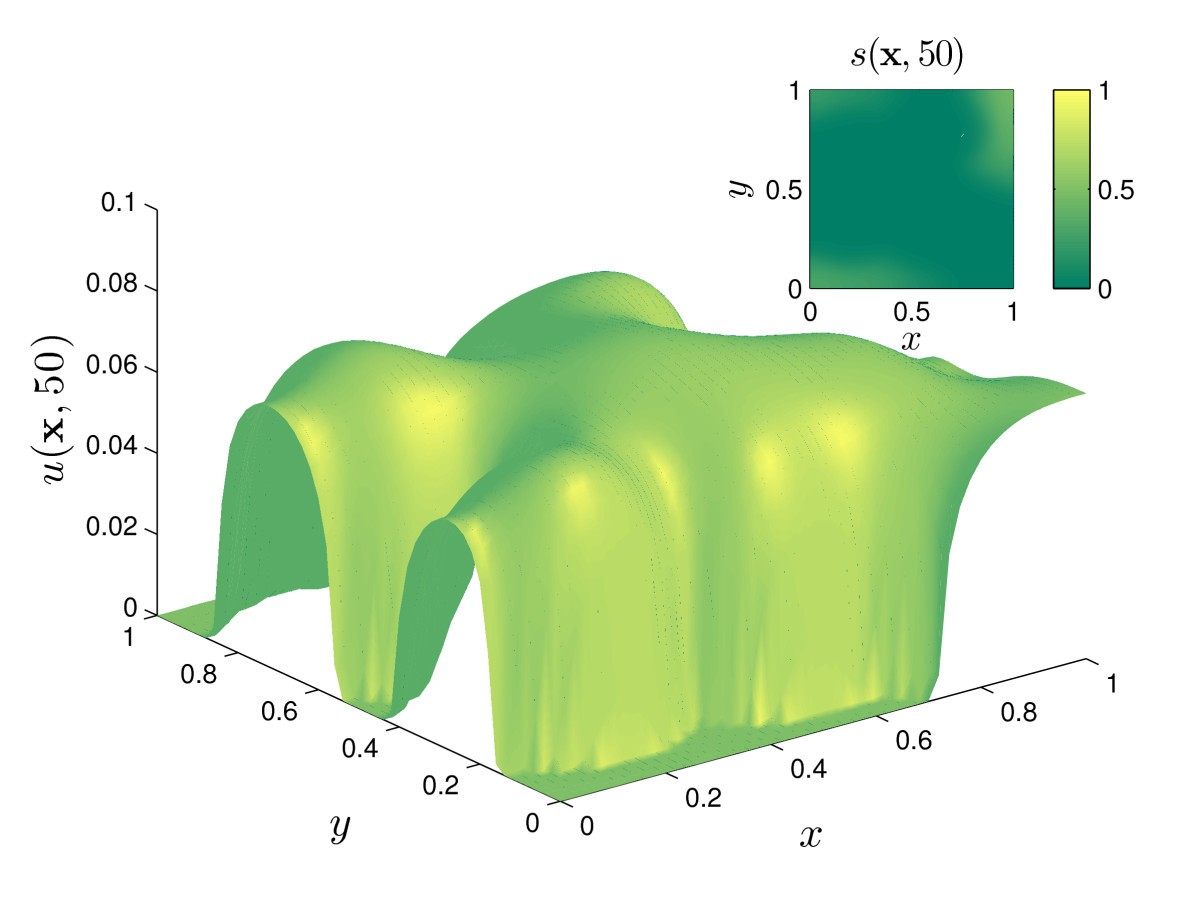 Figure 13