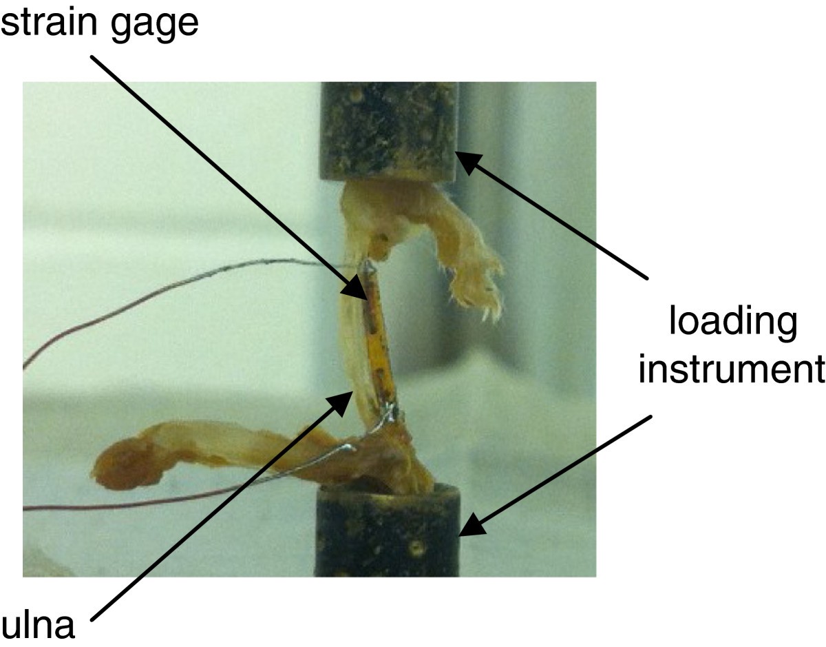 Figure 14