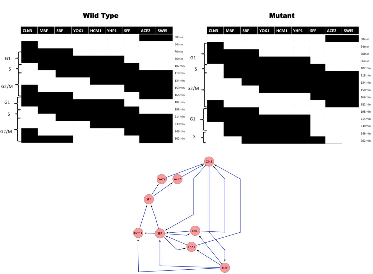 Figure 10