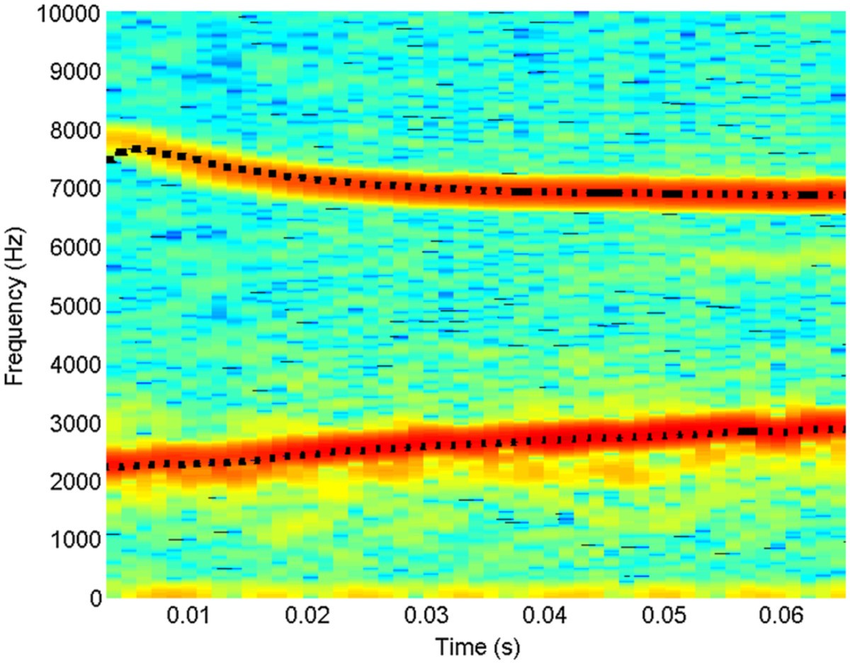 Figure 6