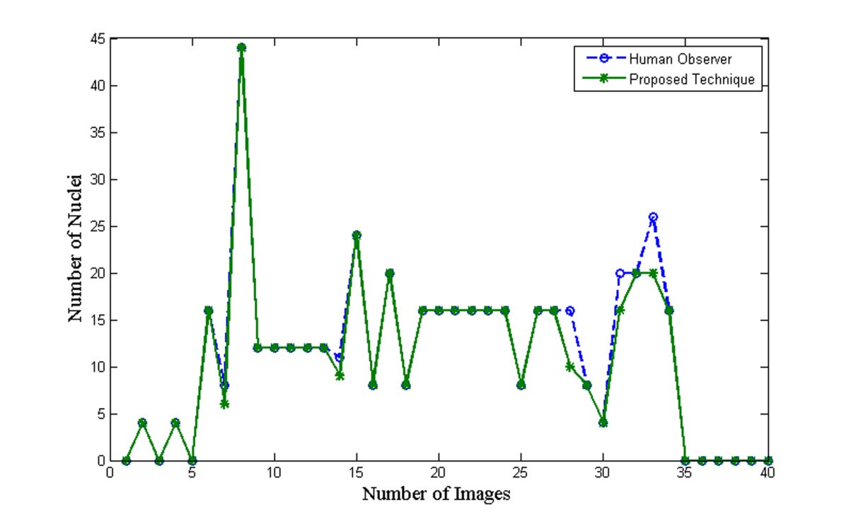 Figure 13