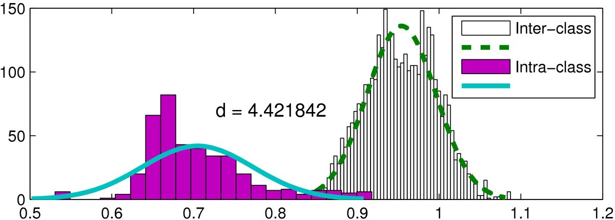 Figure 19