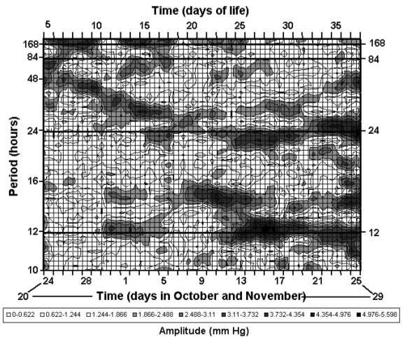 Figure 29