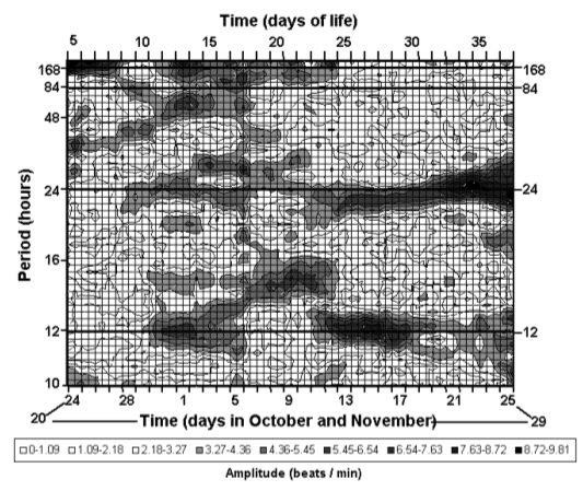 Figure 31