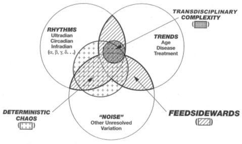 Figure 41