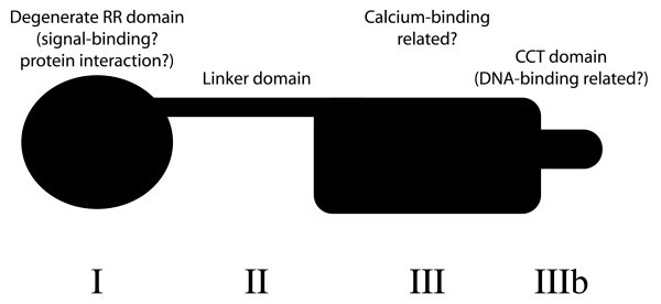 Figure 8