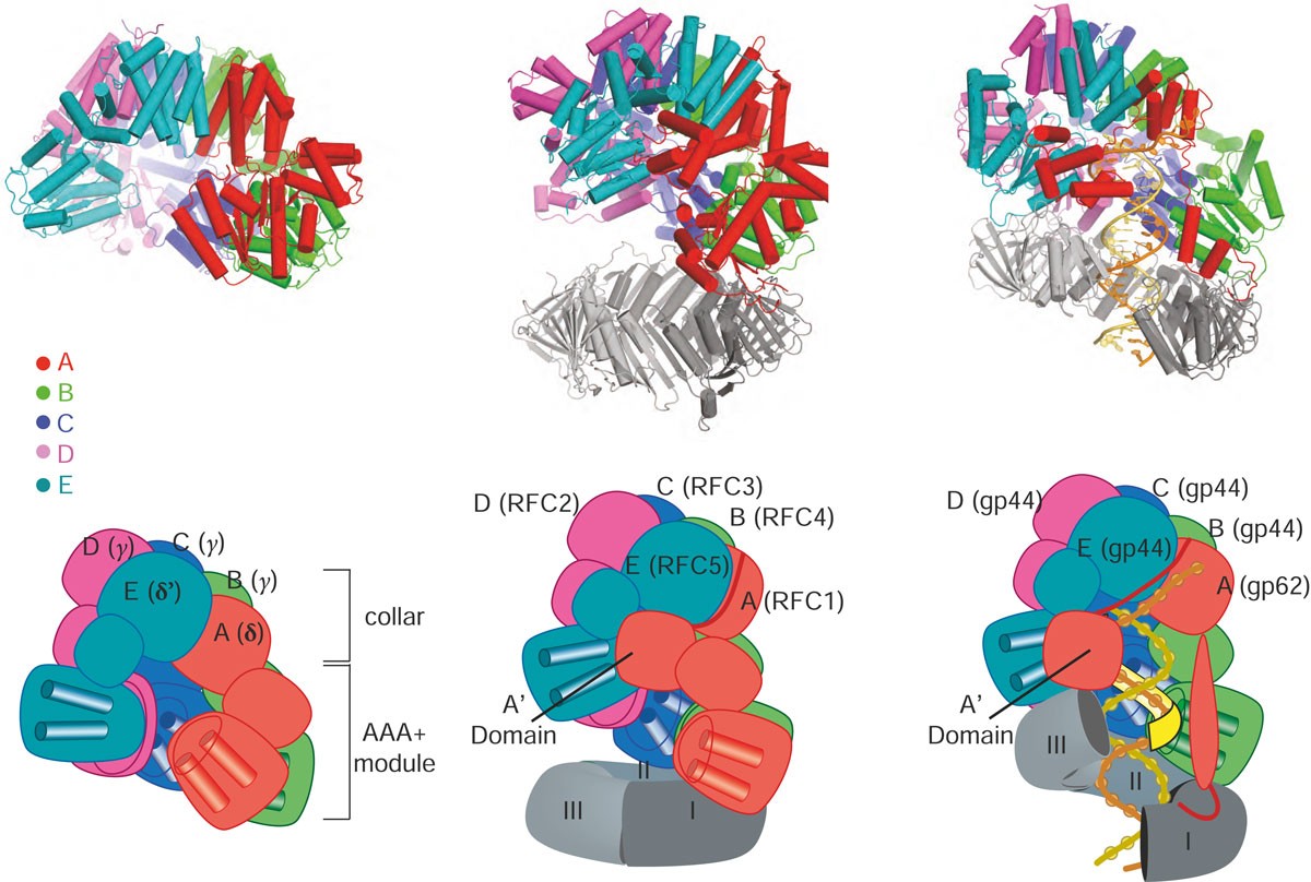 Figure 4