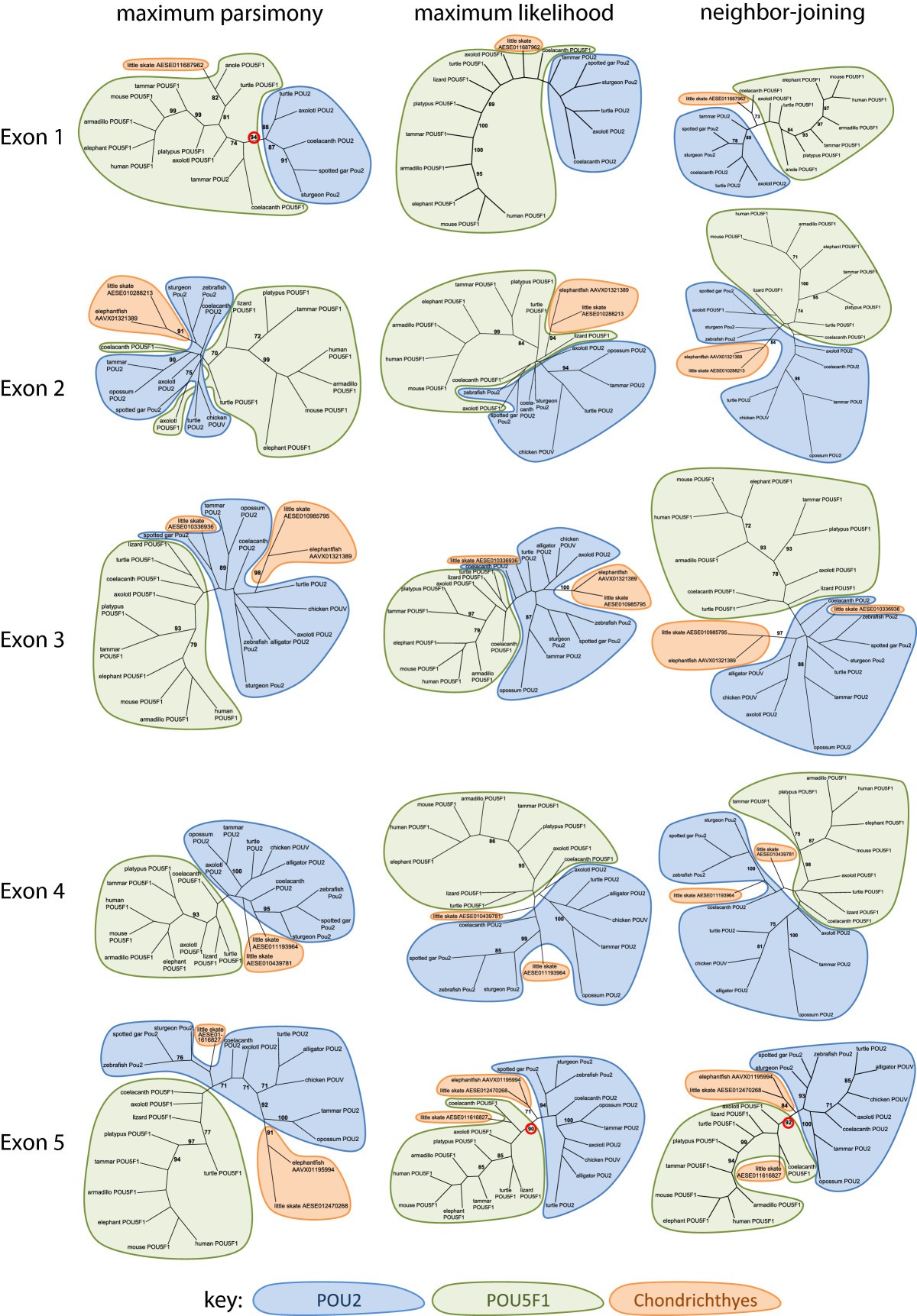 Figure 5