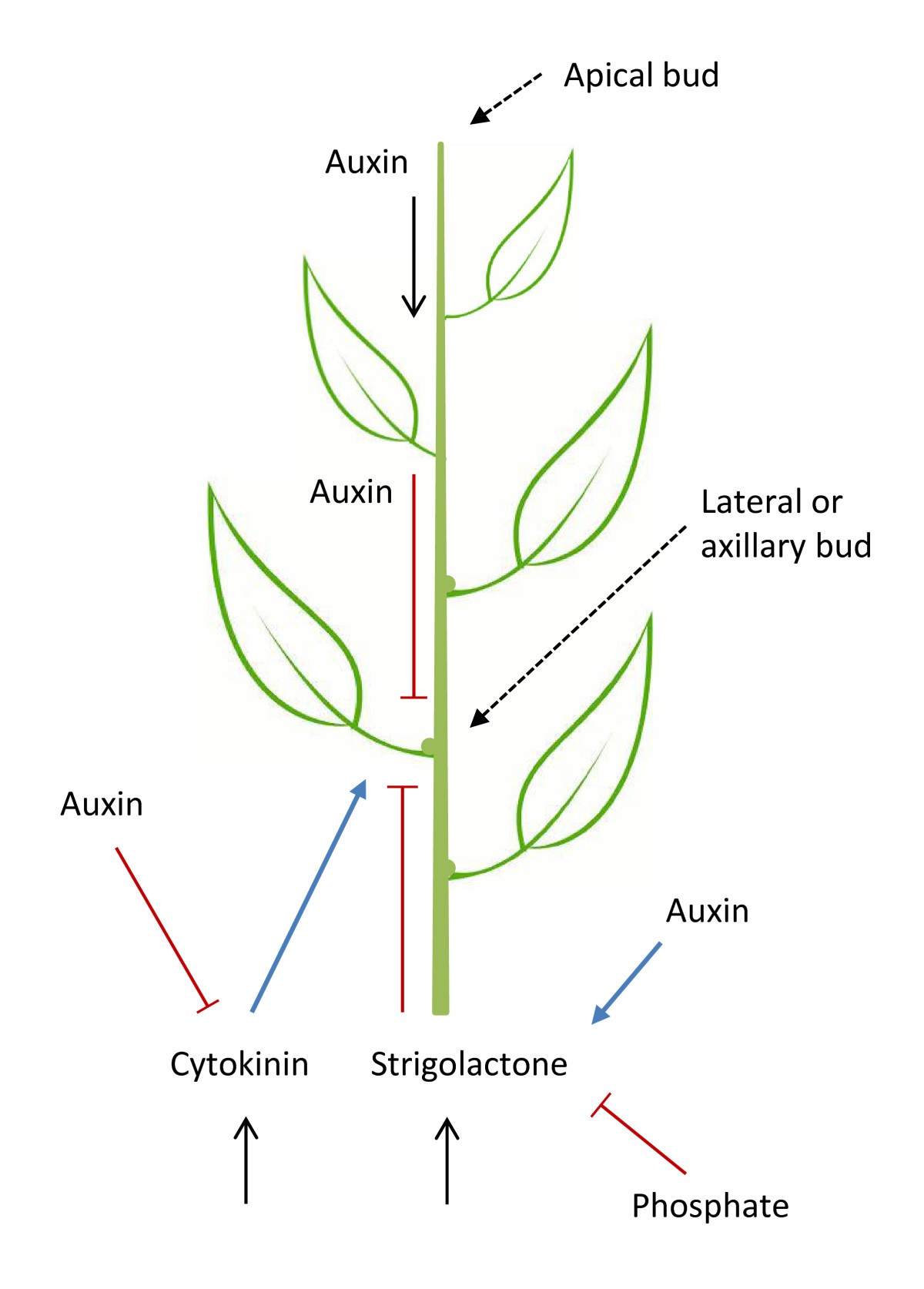 Figure 6.