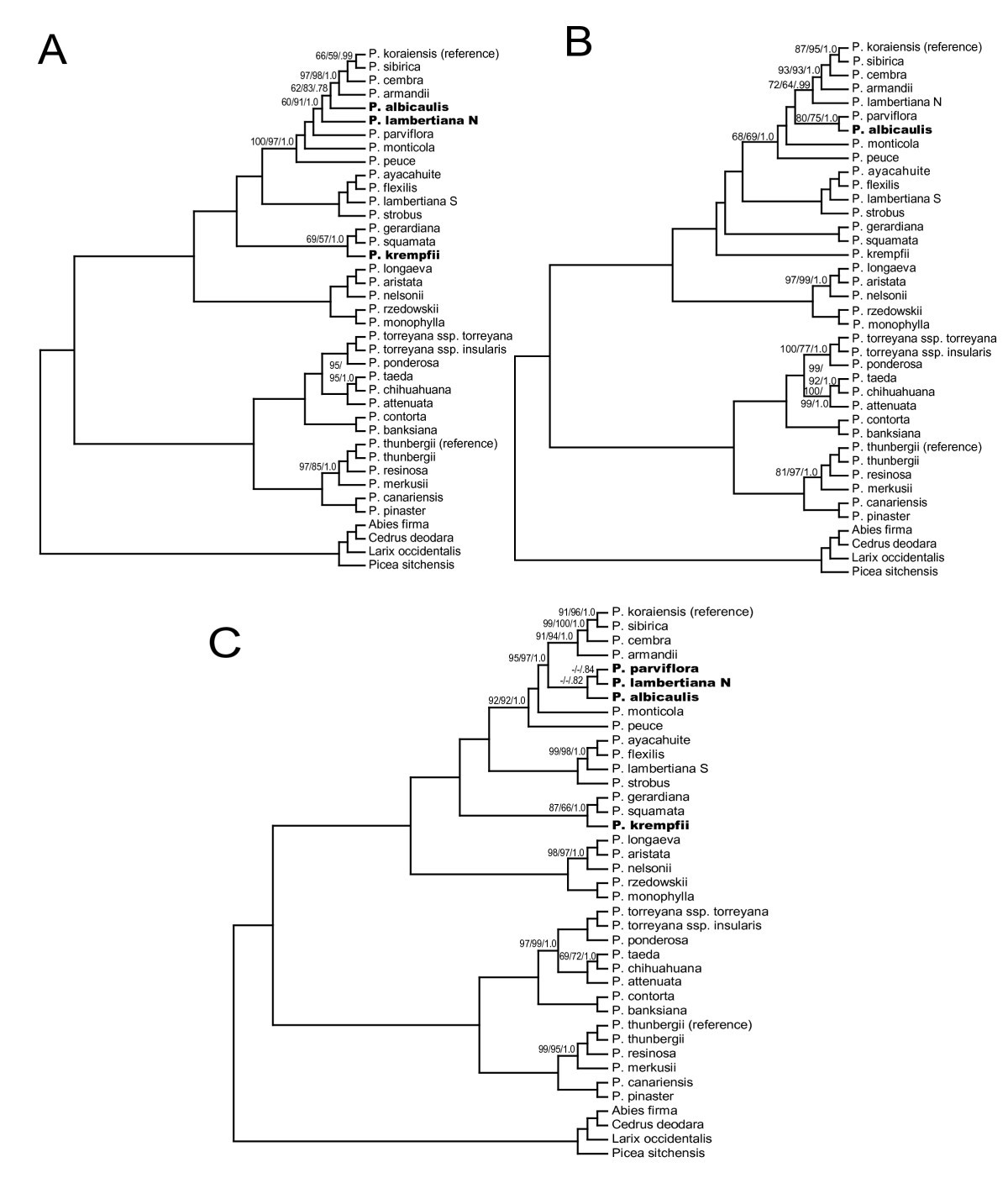 Increasing Phylogenetic Resolution At Low Taxonomic Levels Using Massively Parallel Sequencing Of Chloroplast Genomes Bmc Biology Full Text