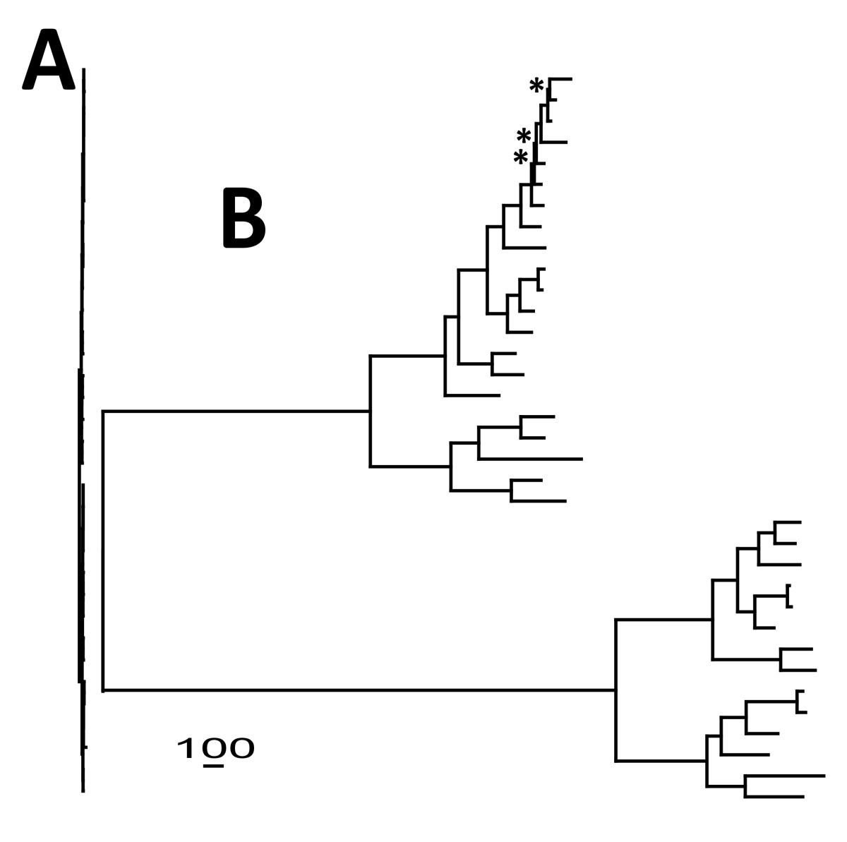 Figure 8