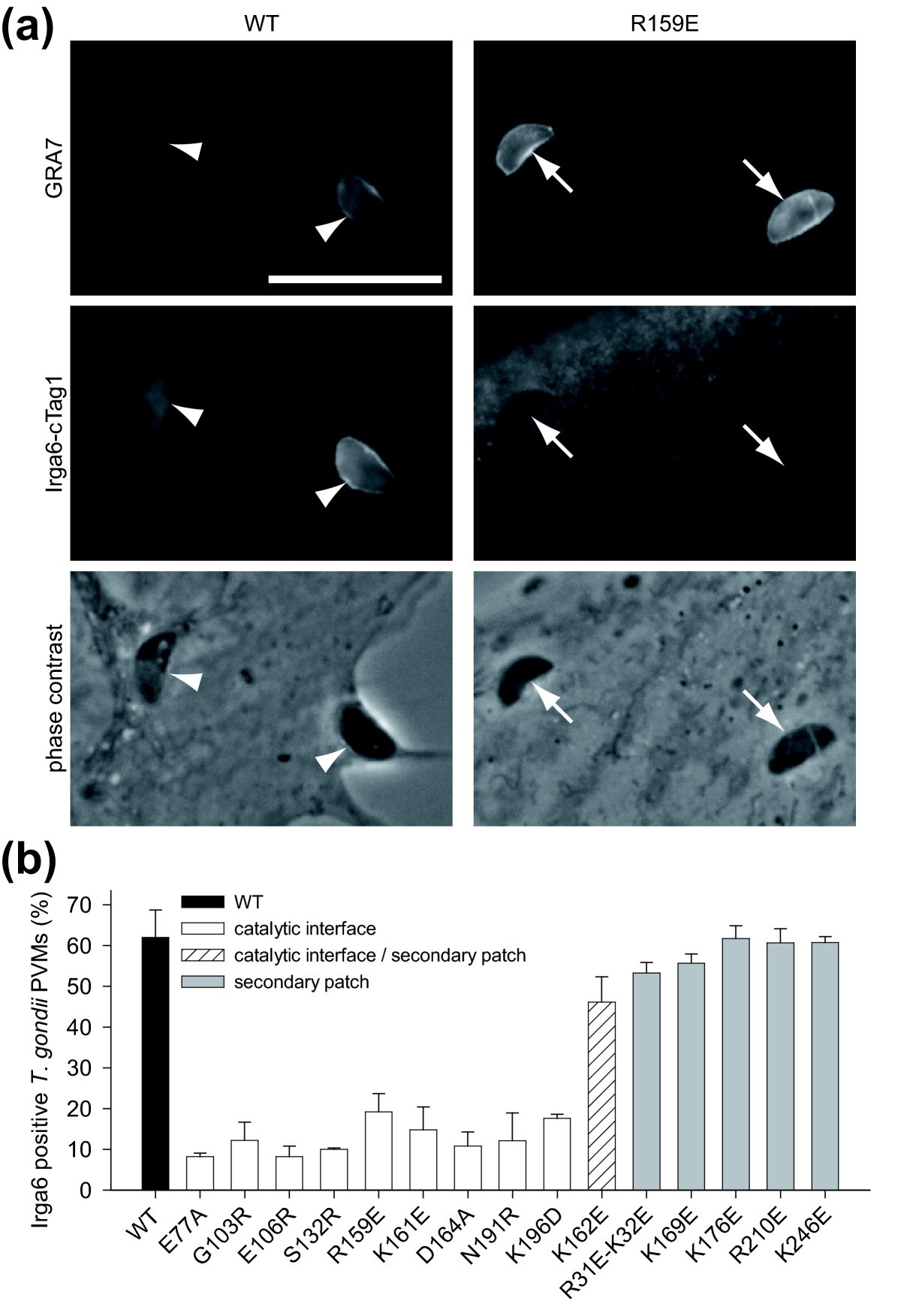 Figure 10