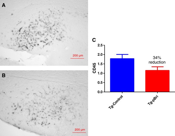 Figure 18