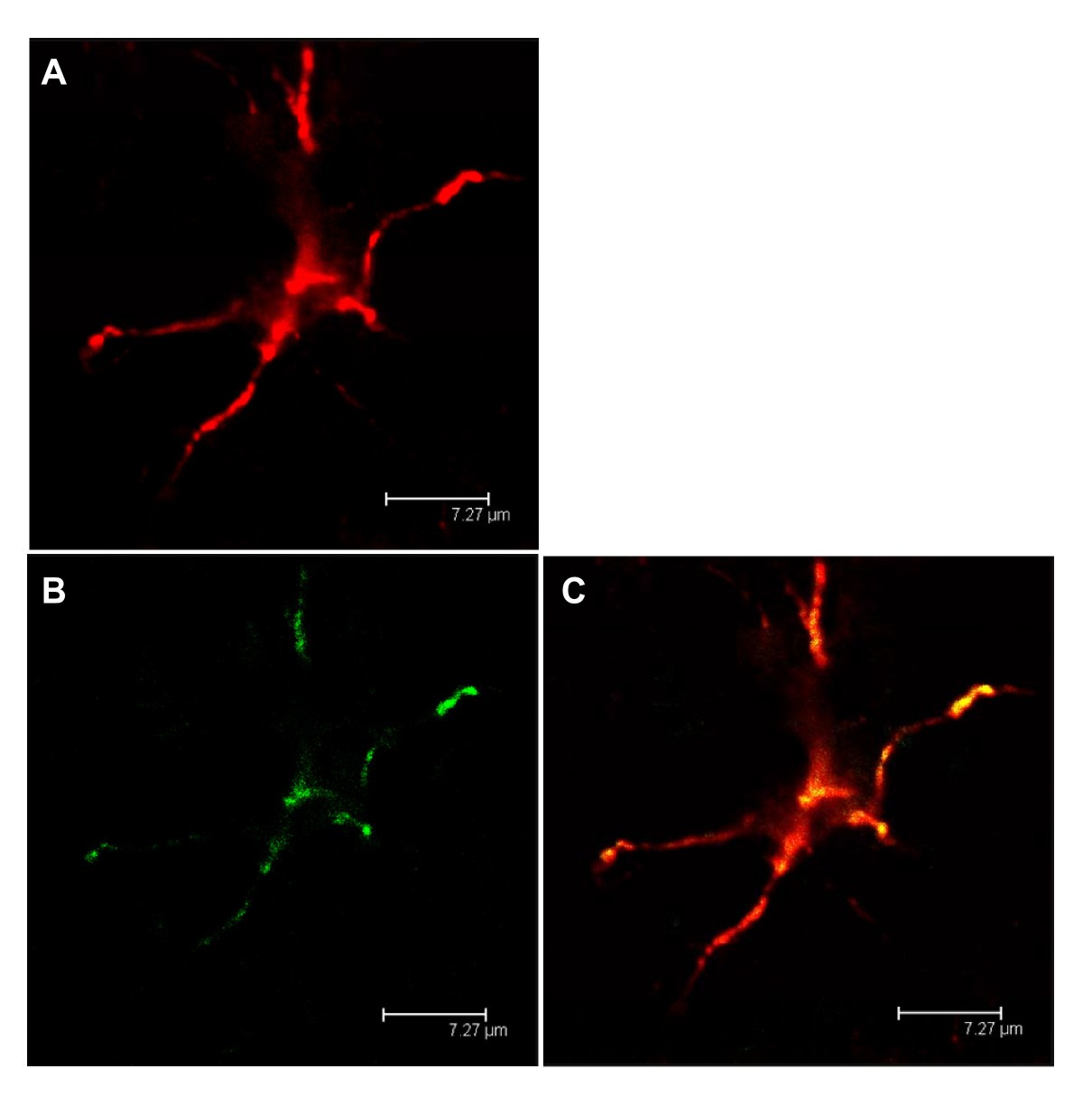 Figure 12