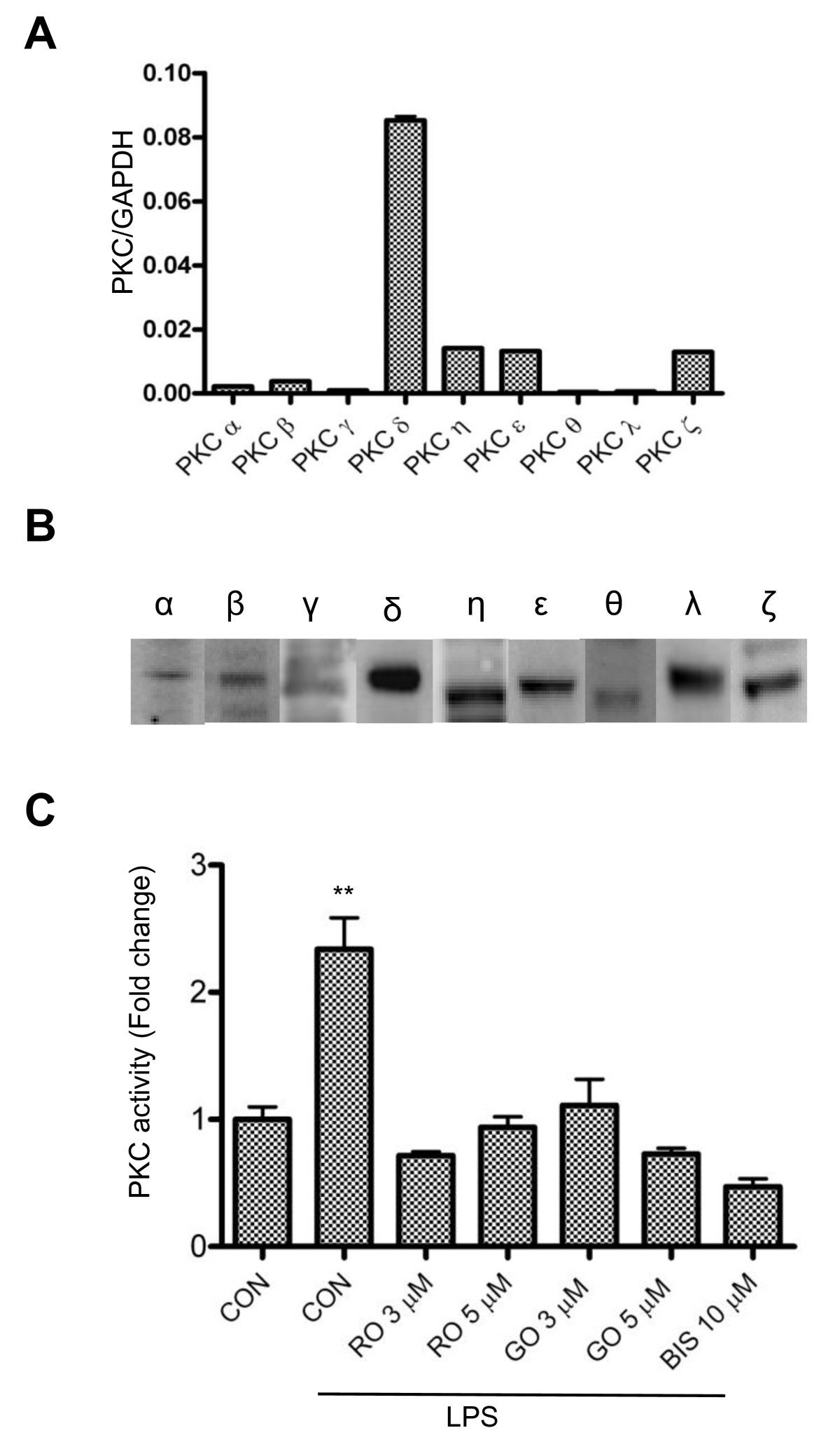 Specific PKC isoforms regulate LPS-stimulated iNOS induction in murine  microglial cells | Journal of Neuroinflammation | Full Text