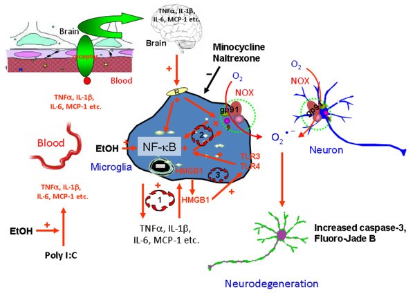 Figure 13