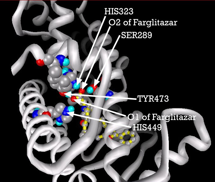 Figure 25