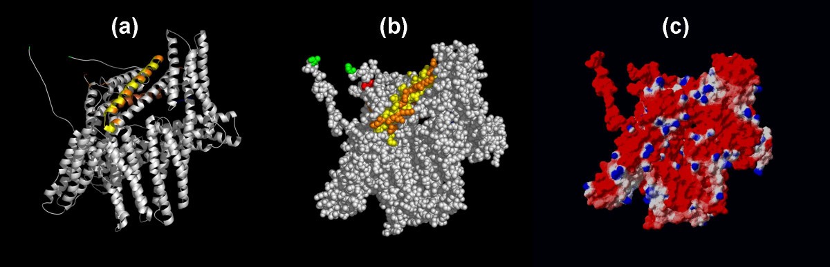 Figure 5