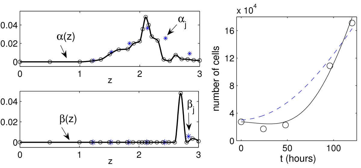 Figure 8