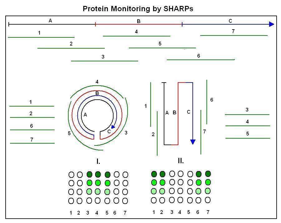 Figure 40