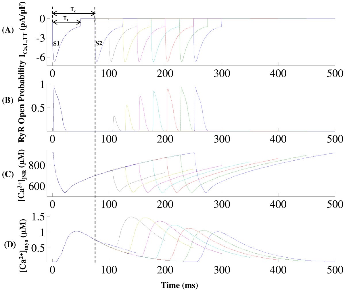 Figure 13