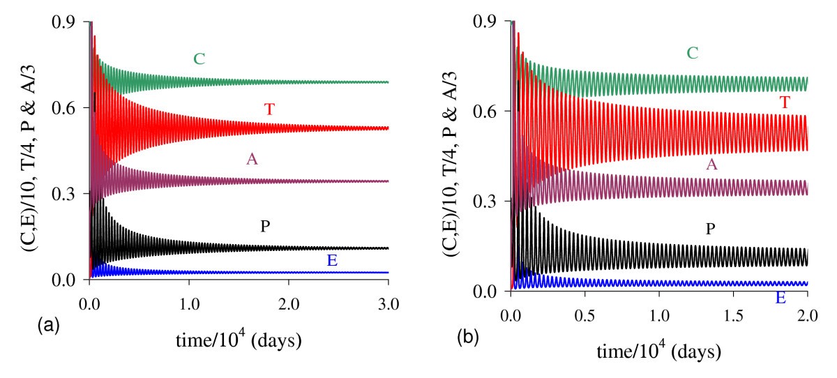 Figure 19