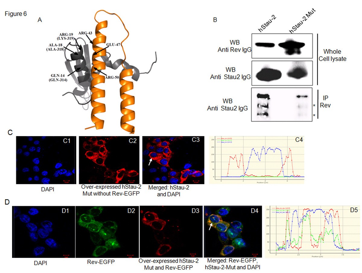 Figure 6