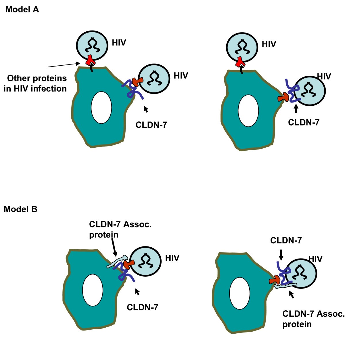 Figure 7