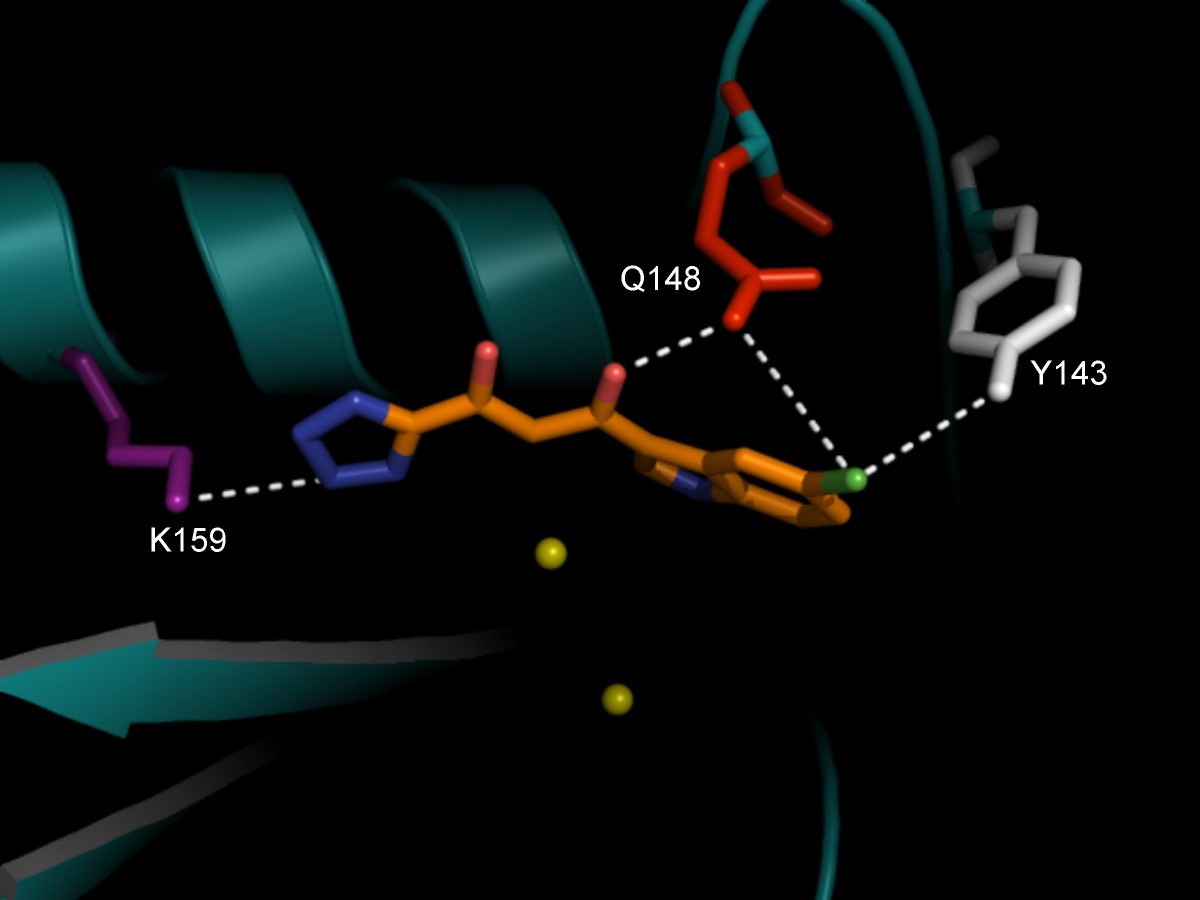 Figure 4