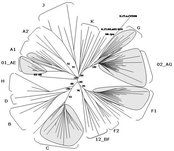 Figure 9