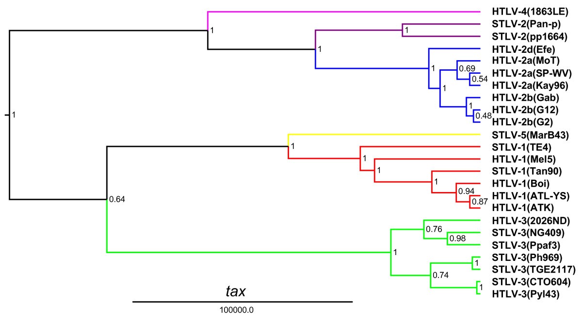 Figure 6