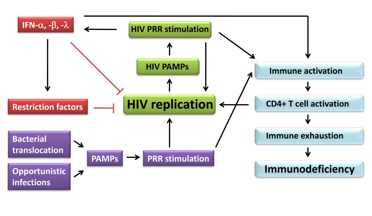 Innate Immune Recognition And Activation During Hiv Infection Retrovirology Full Text