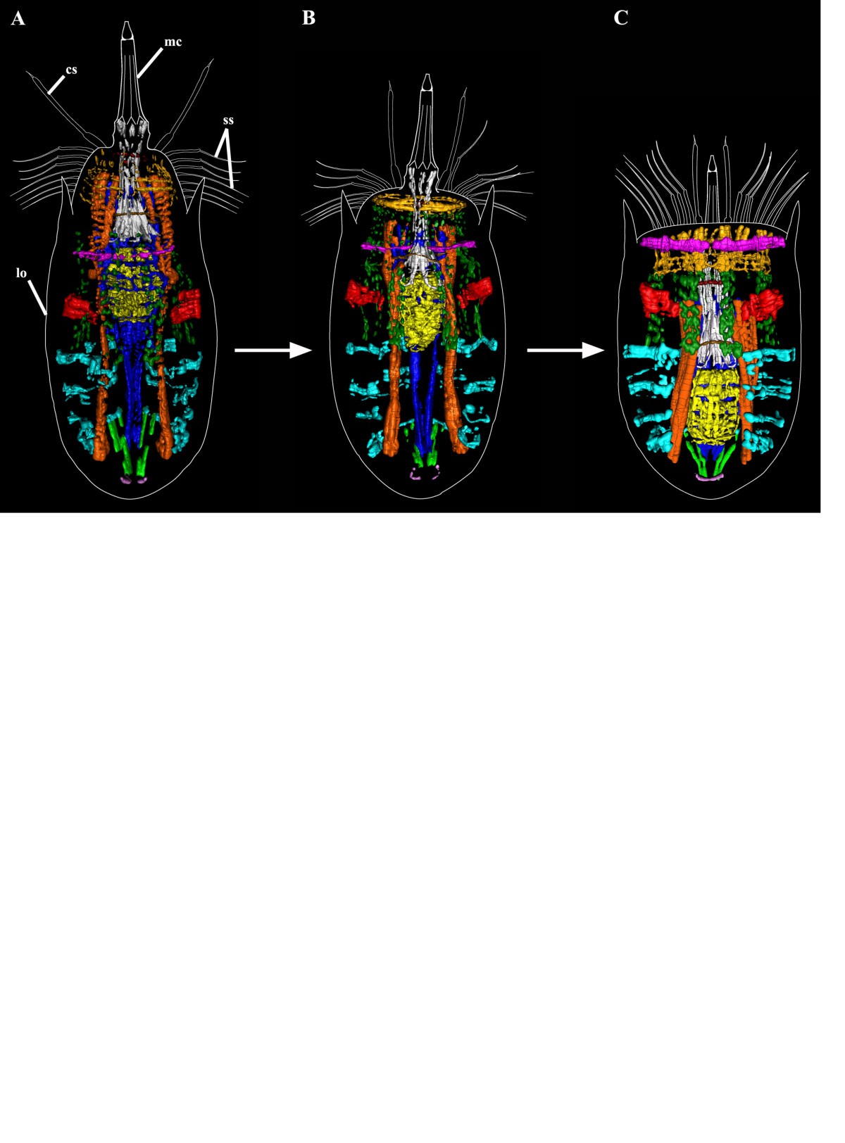 Figure 7