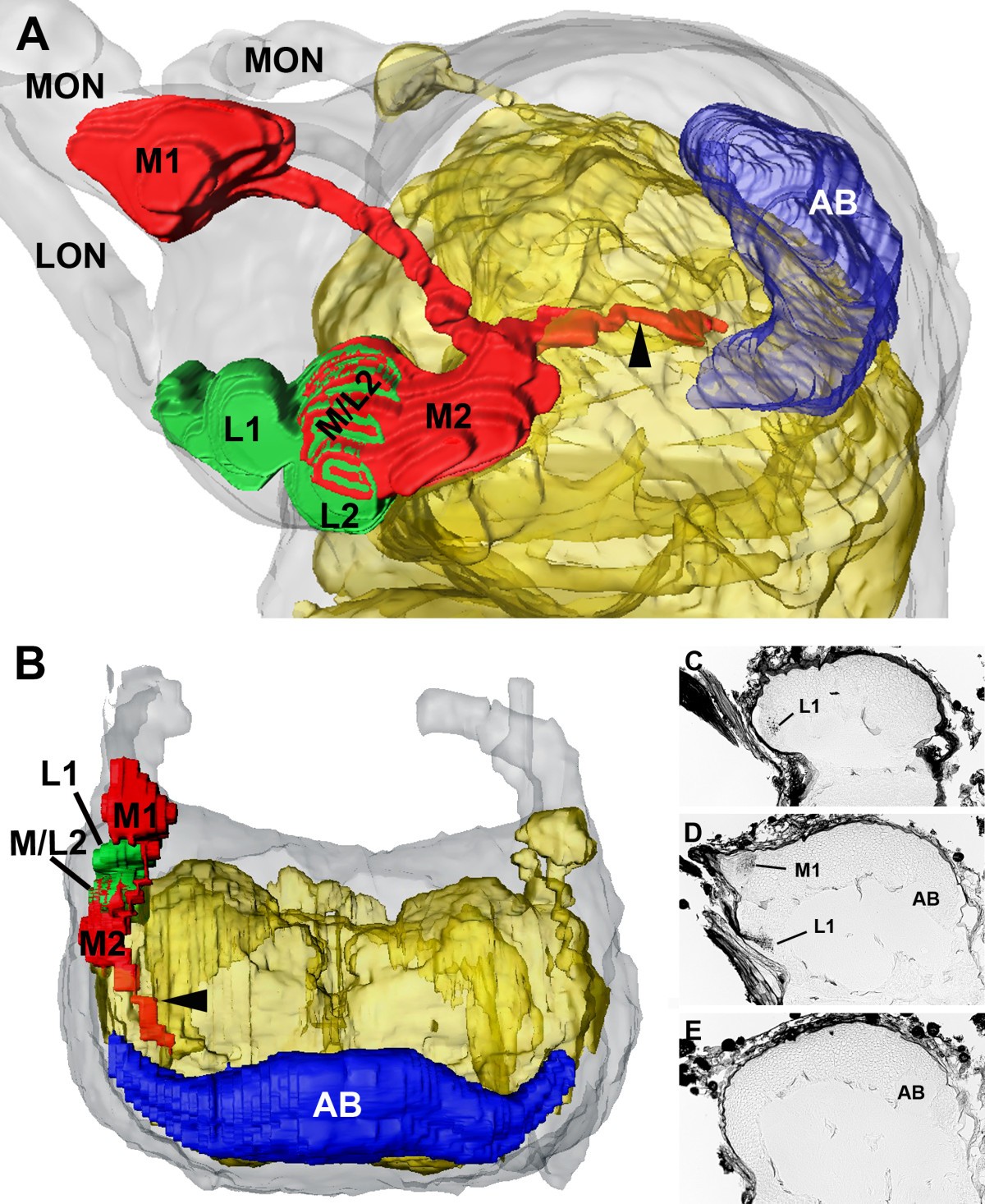 Figure 6