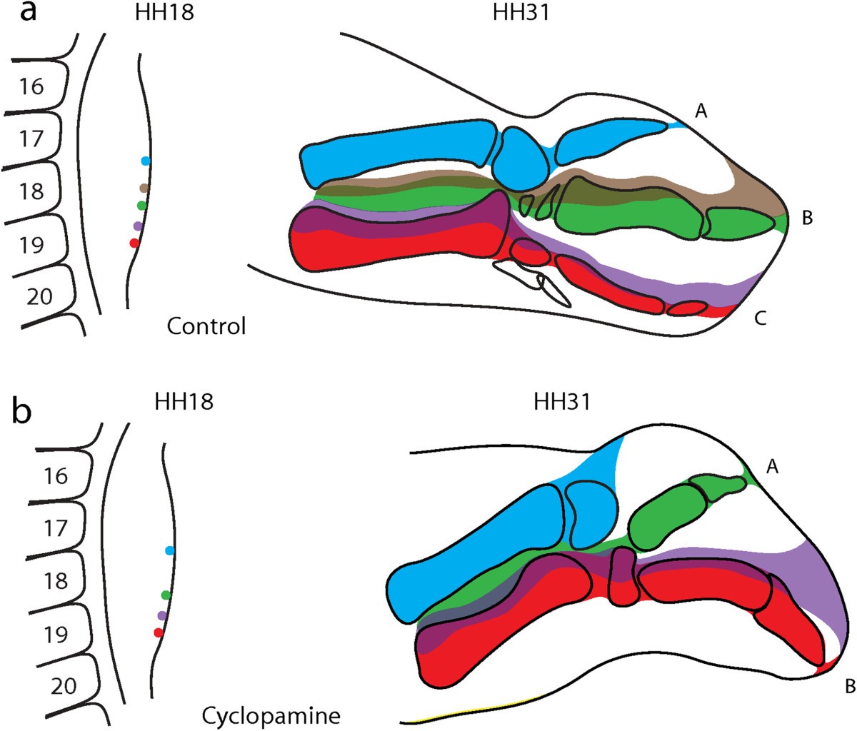 Figure 5