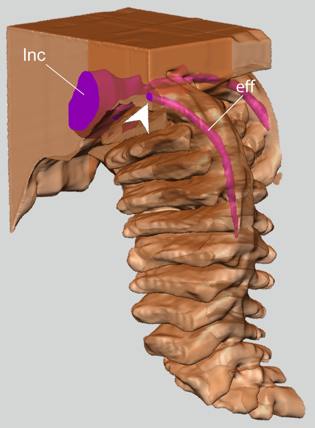 Figure 8